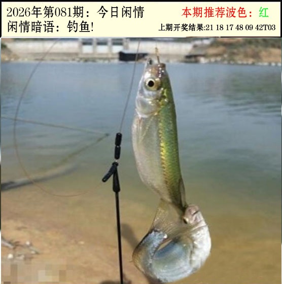 081期今日闲情2[图]