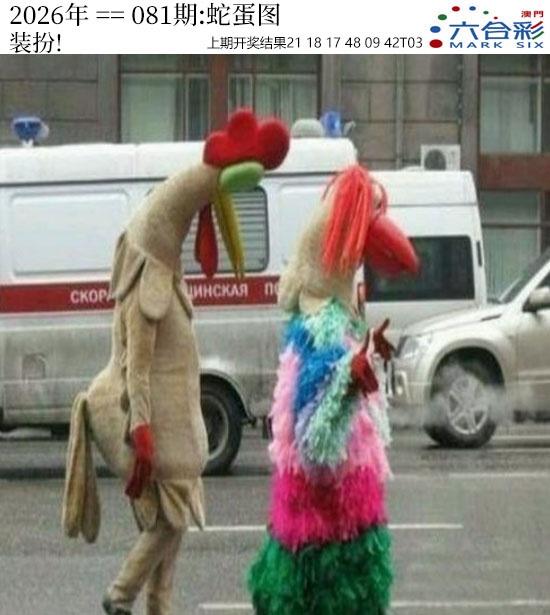 081期正版蛇蛋图[图]